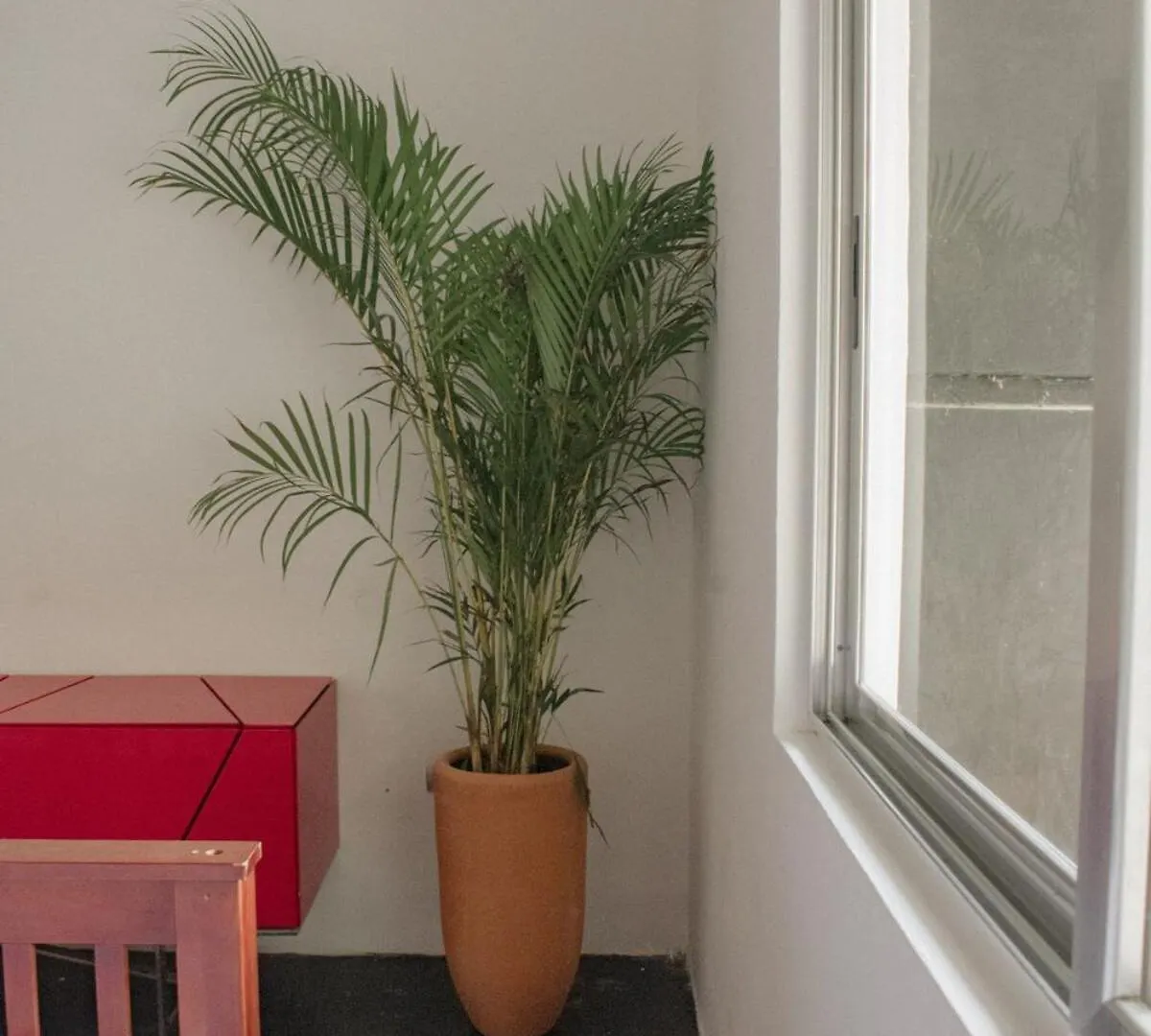 הוילה Tulum Casa Xul מקסיקו